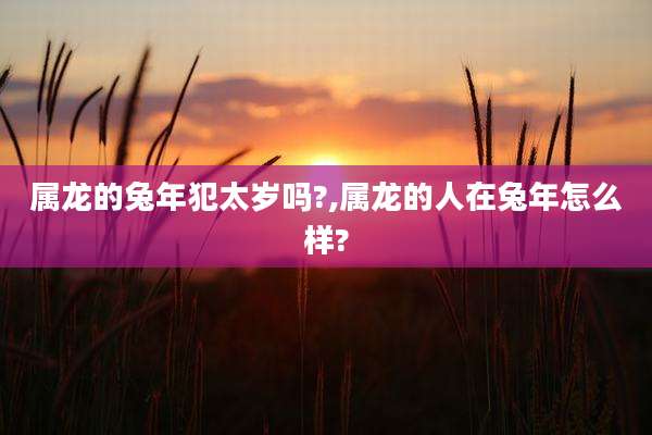 属龙的兔年犯太岁吗?,属龙的人在兔年怎么样?