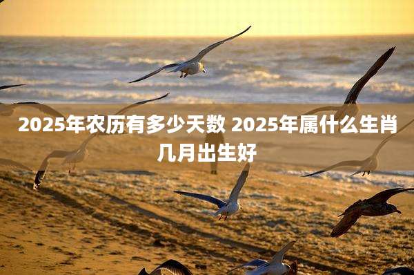 2025年农历有多少天数 2025年属什么生肖几月出生好
