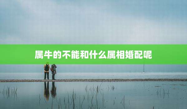 属牛的不能和什么属相婚配呢