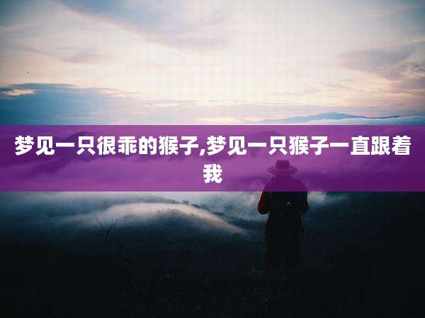 梦见一只很乖的猴子,梦见一只猴子一直跟着我