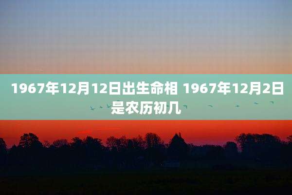 1967年12月12日出生命相 1967年12月2日是农历初几