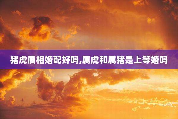 猪虎属相婚配好吗,属虎和属猪是上等婚吗