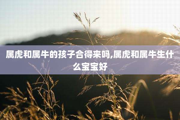 属虎和属牛的孩子合得来吗,属虎和属牛生什么宝宝好