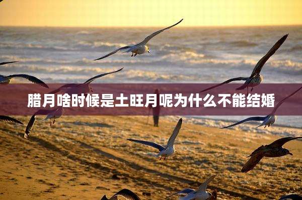 腊月啥时候是土旺月呢为什么不能结婚