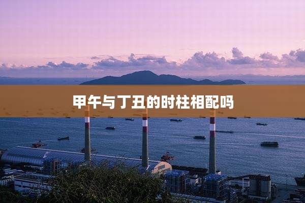 甲午与丁丑的时柱相配吗