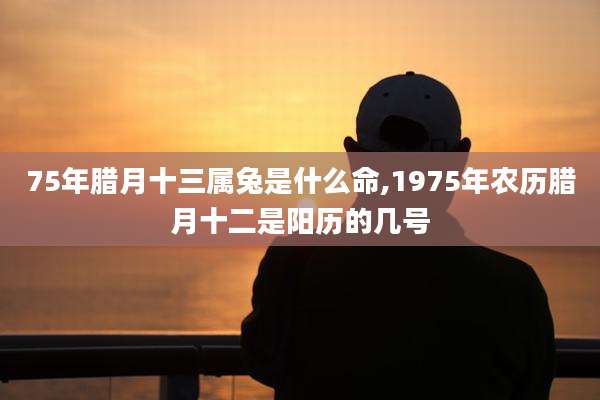 75年腊月十三属兔是什么命,1975年农历腊月十二是阳历的几号
