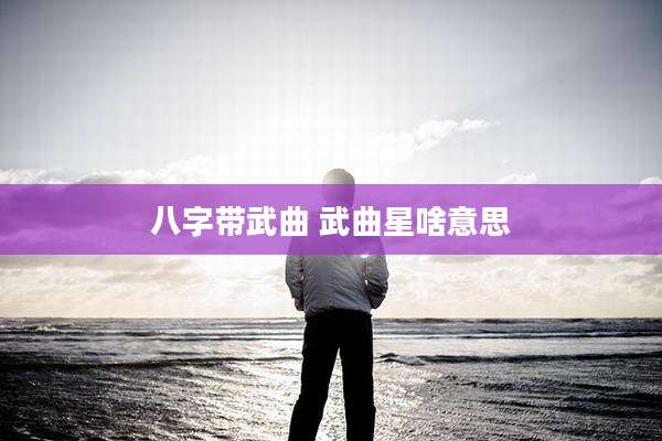 八字带武曲 武曲星啥意思