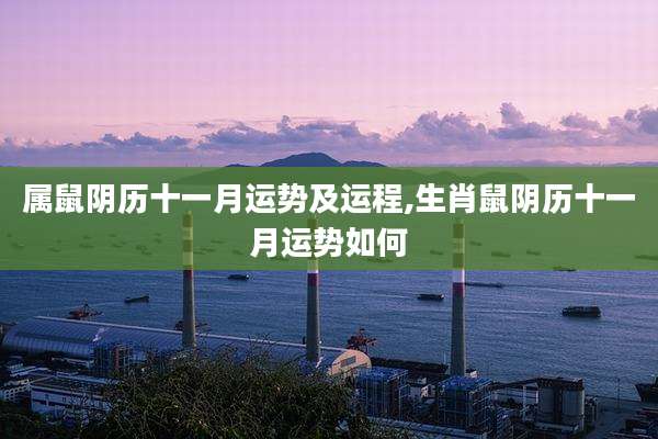 属鼠阴历十一月运势及运程,生肖鼠阴历十一月运势如何