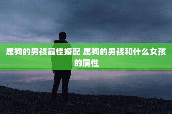 属狗的男孩最佳婚配 属狗的男孩和什么女孩的属性