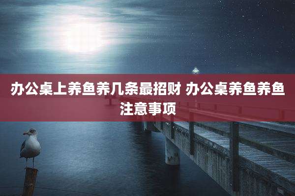 办公桌上养鱼养几条最招财 办公桌养鱼养鱼注意事项