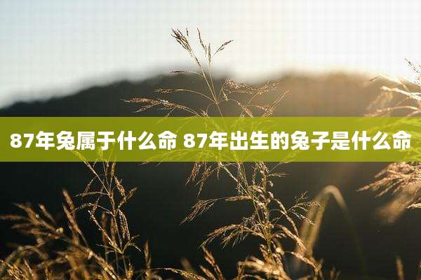87年兔属于什么命 87年出生的兔子是什么命