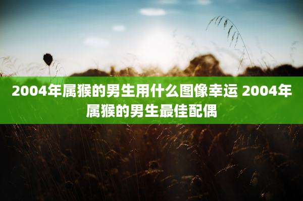 2004年属猴的男生用什么图像幸运 2004年属猴的男生最佳配偶