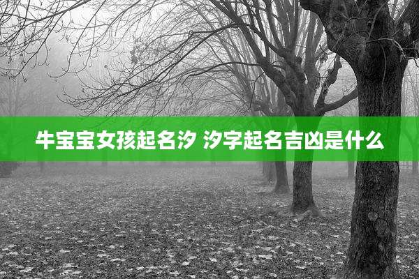 牛宝宝女孩起名汐 汐字起名吉凶是什么