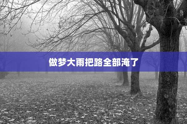 做梦大雨把路全部淹了