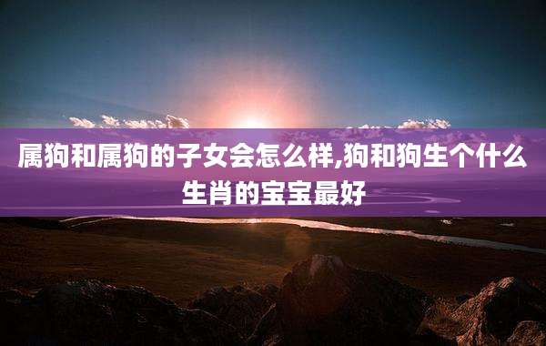 属狗和属狗的子女会怎么样,狗和狗生个什么生肖的宝宝最好