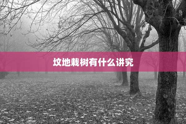 坟地栽树有什么讲究