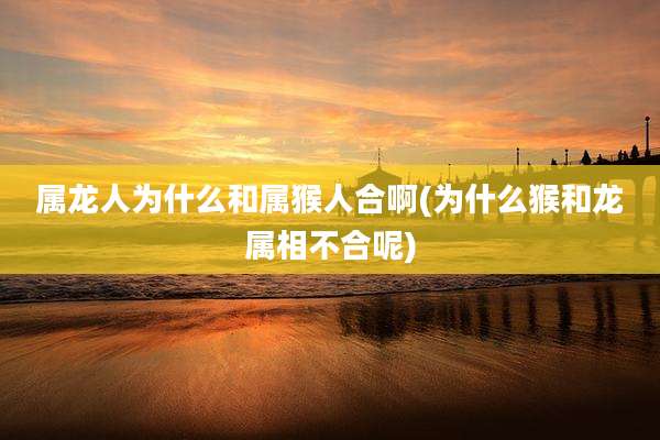 属龙人为什么和属猴人合啊(为什么猴和龙属相不合呢)