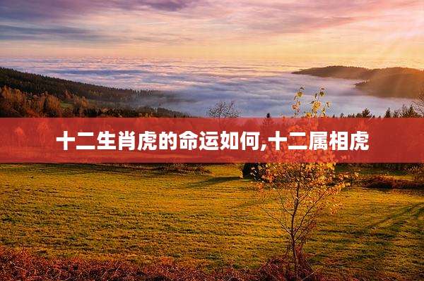 十二生肖虎的命运如何,十二属相虎