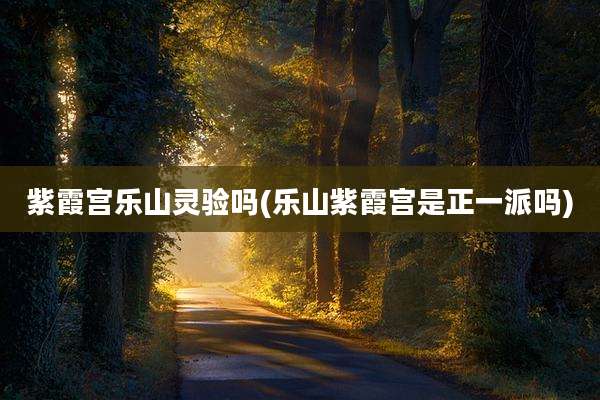 紫霞宫乐山灵验吗(乐山紫霞宫是正一派吗)