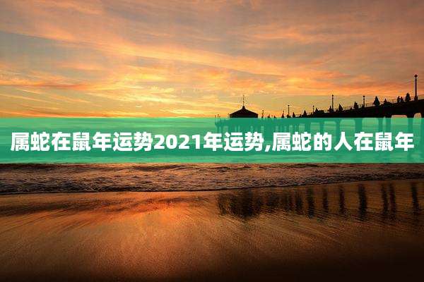 属蛇在鼠年运势2021年运势,属蛇的人在鼠年