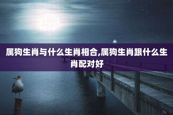 属狗生肖与什么生肖相合,属狗生肖跟什么生肖配对好