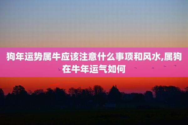 狗年运势属牛应该注意什么事项和风水,属狗在牛年运气如何