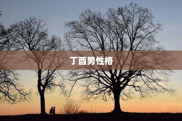 丁酉男性格