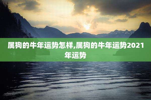 属狗的牛年运势怎样,属狗的牛年运势2021年运势