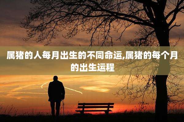 属猪的人每月出生的不同命运,属猪的每个月的出生运程