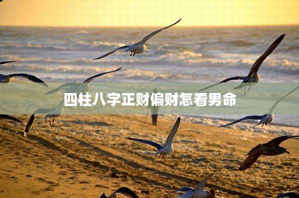 四柱八字正财偏财怎看男命