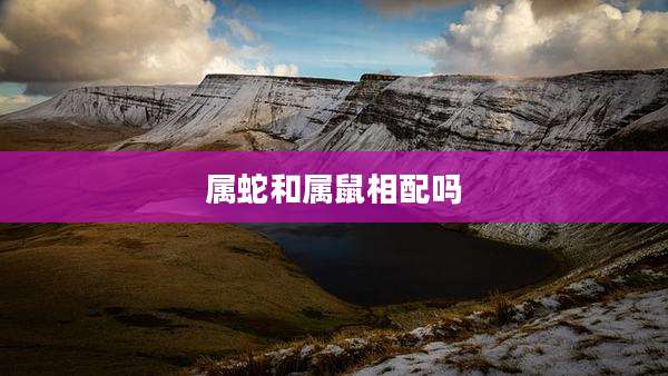 属蛇和属鼠相配吗