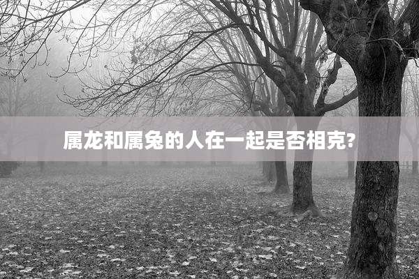 属龙和属兔的人在一起是否相克?