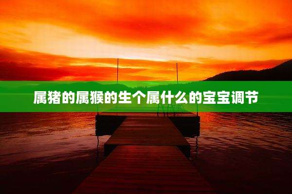 属猪的属猴的生个属什么的宝宝调节
