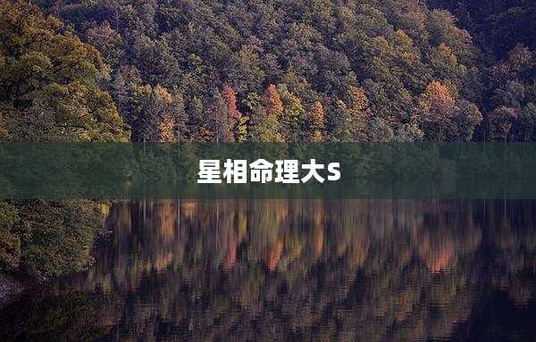 星相命理大S