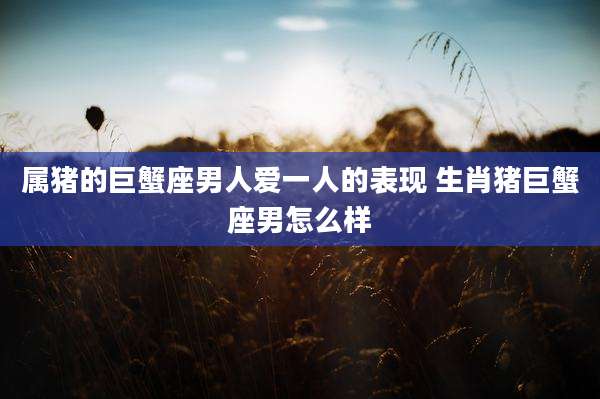 属猪的巨蟹座男人爱一人的表现 生肖猪巨蟹座男怎么样