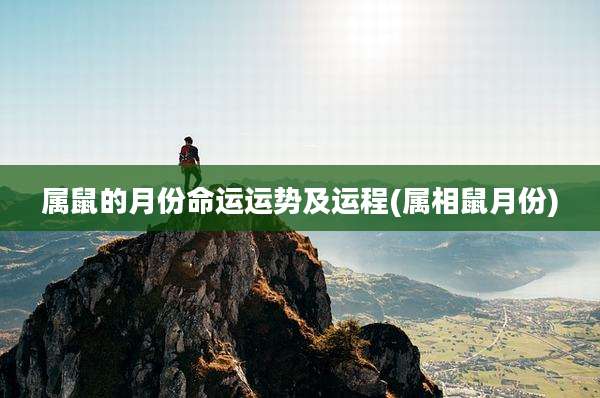 属鼠的月份命运运势及运程(属相鼠月份)