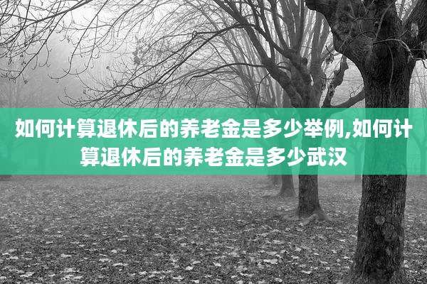 如何计算退休后的养老金是多少举例,如何计算退休后的养老金是多少武汉