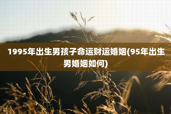 1995年出生男孩子命运财运婚姻(95年出生男婚姻如何)