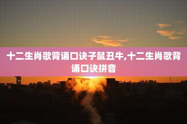 十二生肖歌背诵口诀子鼠丑牛,十二生肖歌背诵口诀拼音