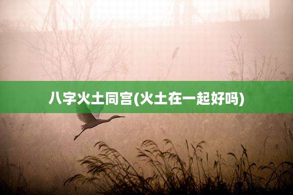 八字火土同宫(火土在一起好吗)