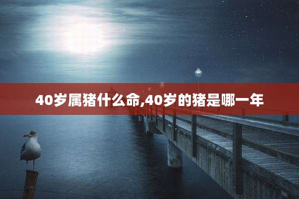 40岁属猪什么命,40岁的猪是哪一年