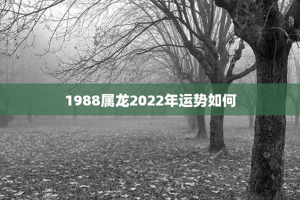 1988属龙2022年运势如何