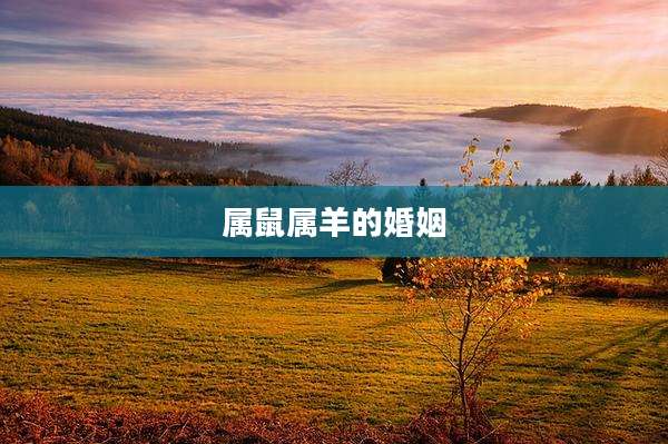 属鼠属羊的婚姻
