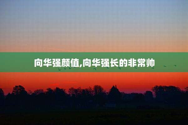 向华强颜值,向华强长的非常帅