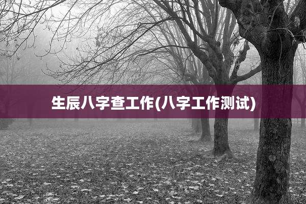 生辰八字查工作(八字工作测试)