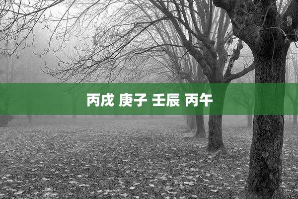 丙戌 庚子 壬辰 丙午