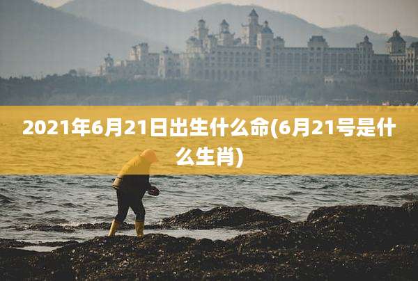 2021年6月21日出生什么命(6月21号是什么生肖)