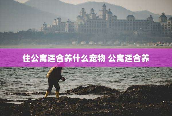 住公寓适合养什么宠物 公寓适合养