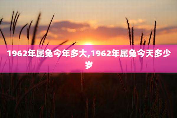 1962年属兔今年多大,1962年属兔今天多少岁