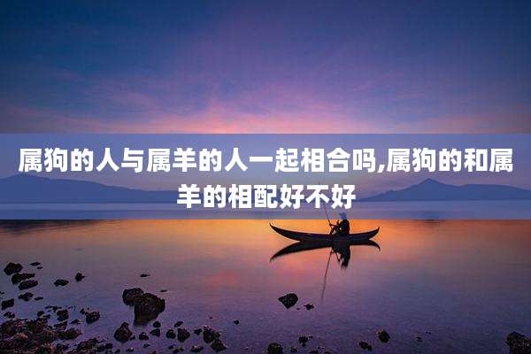 属狗的人与属羊的人一起相合吗,属狗的和属羊的相配好不好